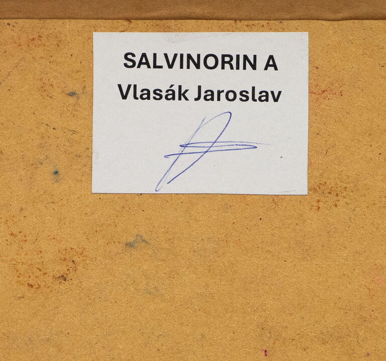  / Salvinorin A / Jaroslav Vlasák
