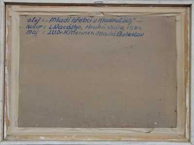  / Mladí hřebci v Kladrubech / Ludvík Vacátko