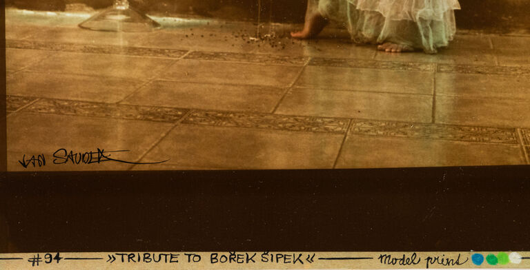  / Pocta Bořku Šípkovi / Jan Saudek