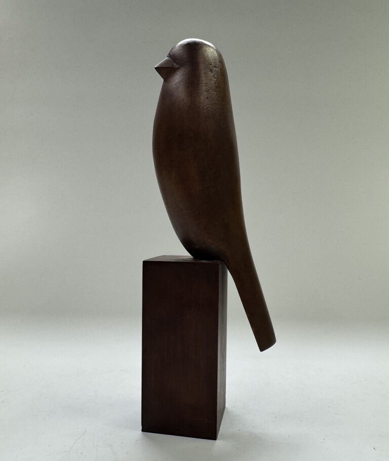 Ota Janeček - Ptáček