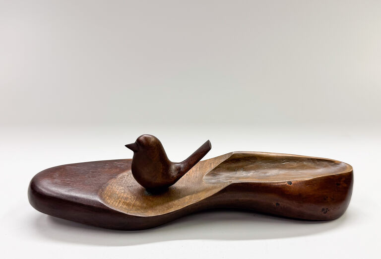 Ota Janeček - Ptáček ve střevíčku