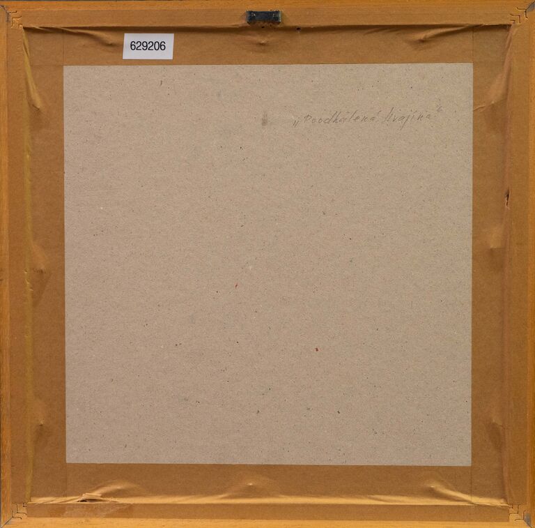  / Poodhalená krajina / Josef Velčovský