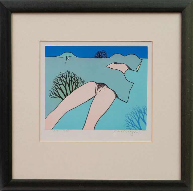 Josef Velčovský - Poodhalená krajina