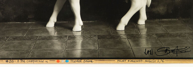  / The cowparade / Jan Saudek