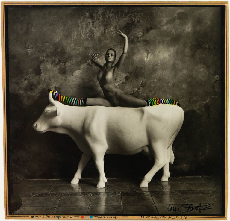 Jan Saudek - The cowparade