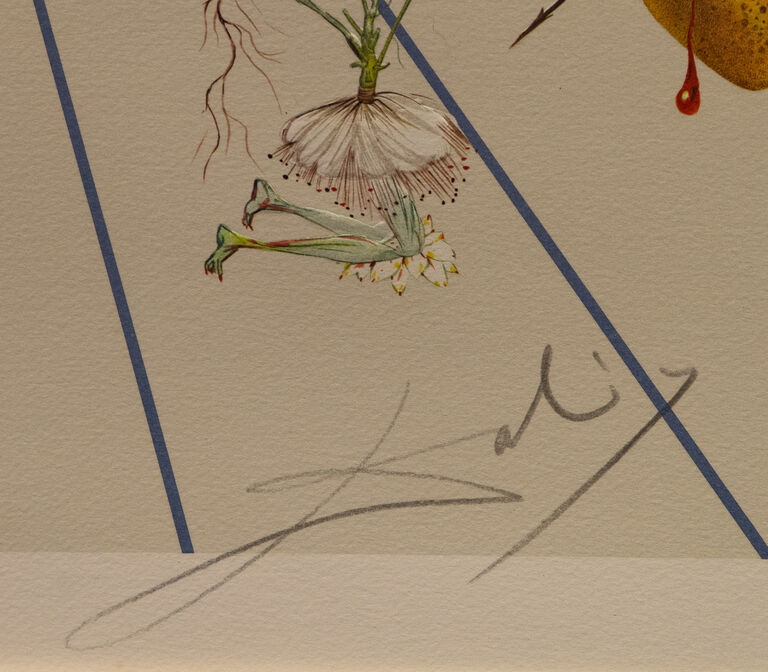 / Flordali II / Salvador Dalí
