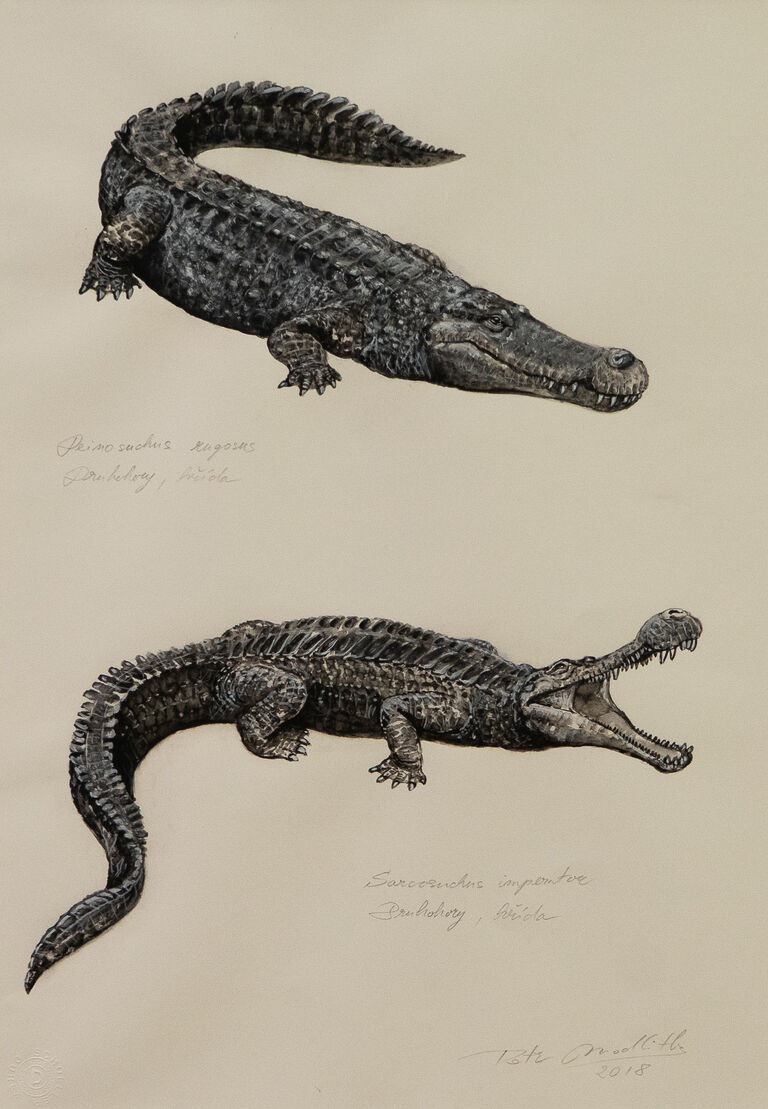  / Deinosuchus rugosus et Sarcosuchus imperator / Petr Modlitba
