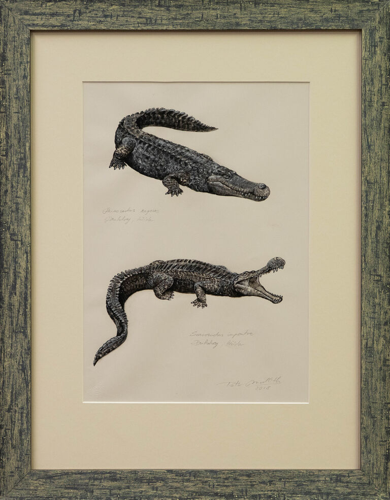 Petr Modlitba - Deinosuchus rugosus et Sarcosuchus imperator