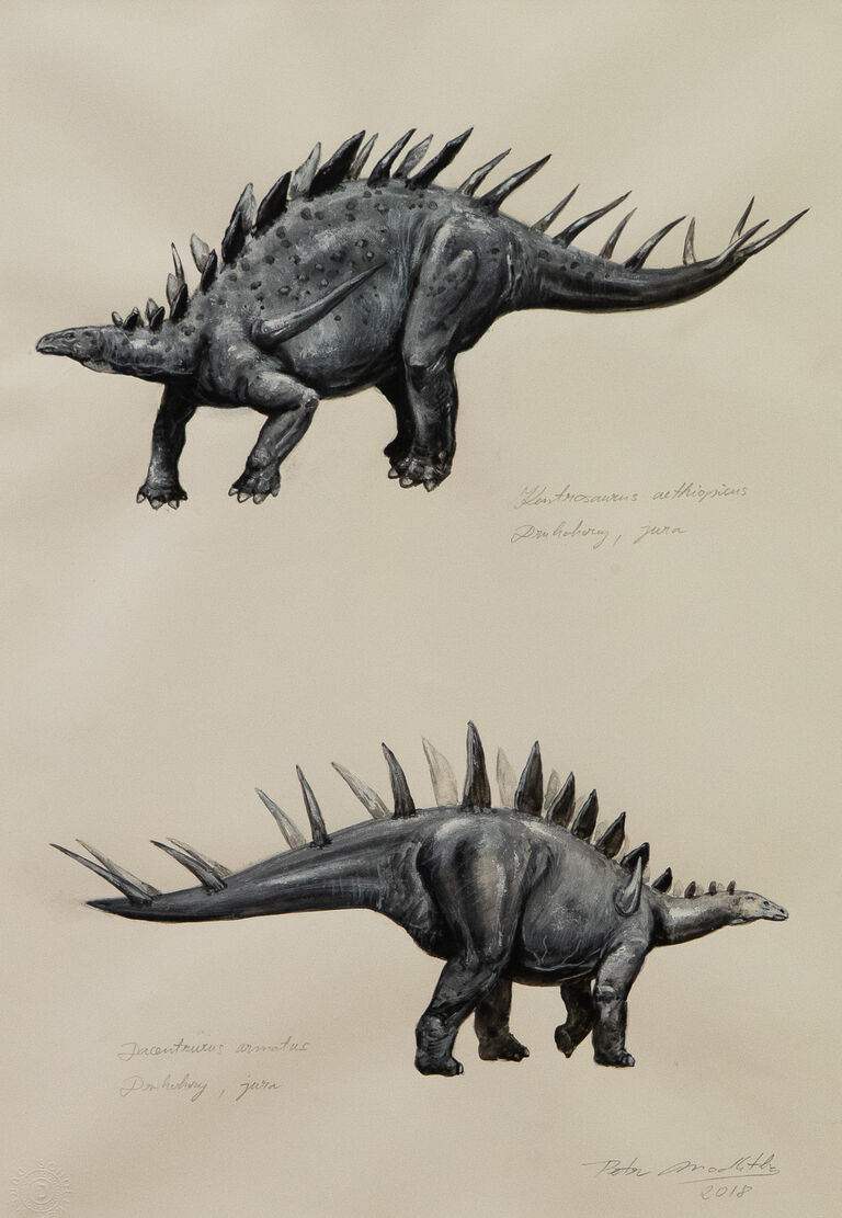  / Kentrosaurus aethiopicus et Dacentrurus armatus / Petr Modlitba