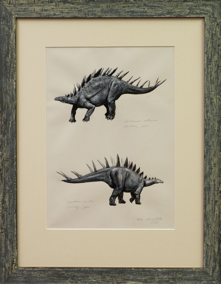 Petr Modlitba - Kentrosaurus aethiopicus et Dacentrurus armatus