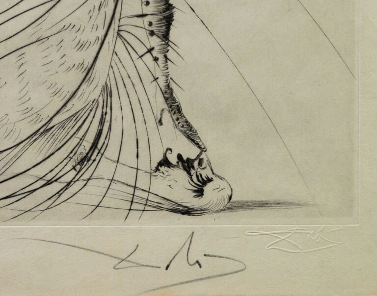  / Venuše v kožichu / Salvador Dalí