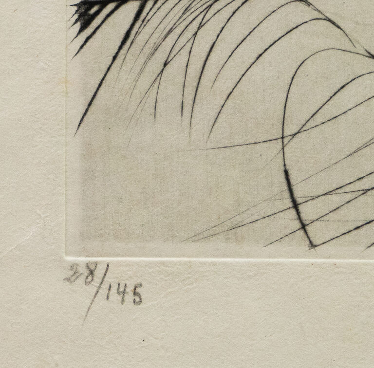  / Venuše v kožichu / Salvador Dalí