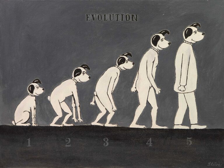  / Evolution / Jiří Slíva