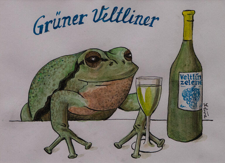  / Grüner Veltliner / Jiří Slíva