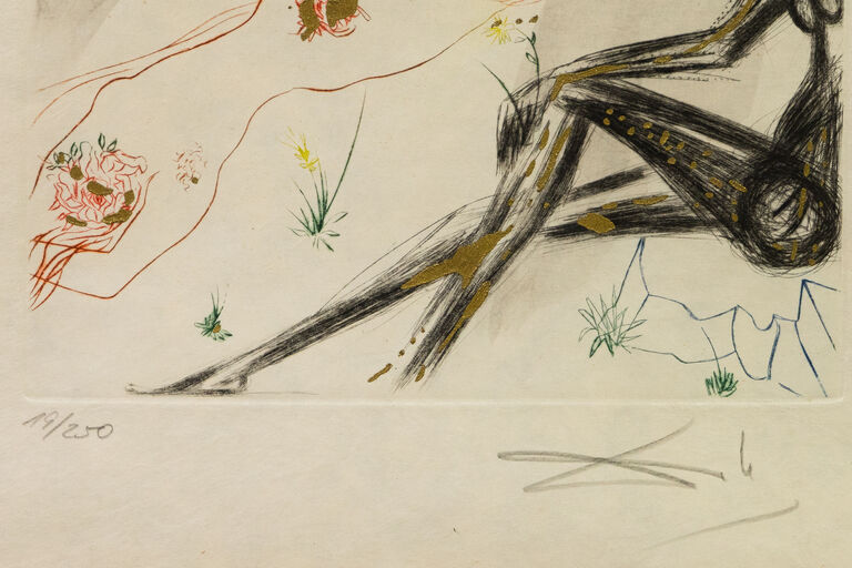  / Píseň písní: Nehleďte na mne, že jsem snědá / Salvador Dalí