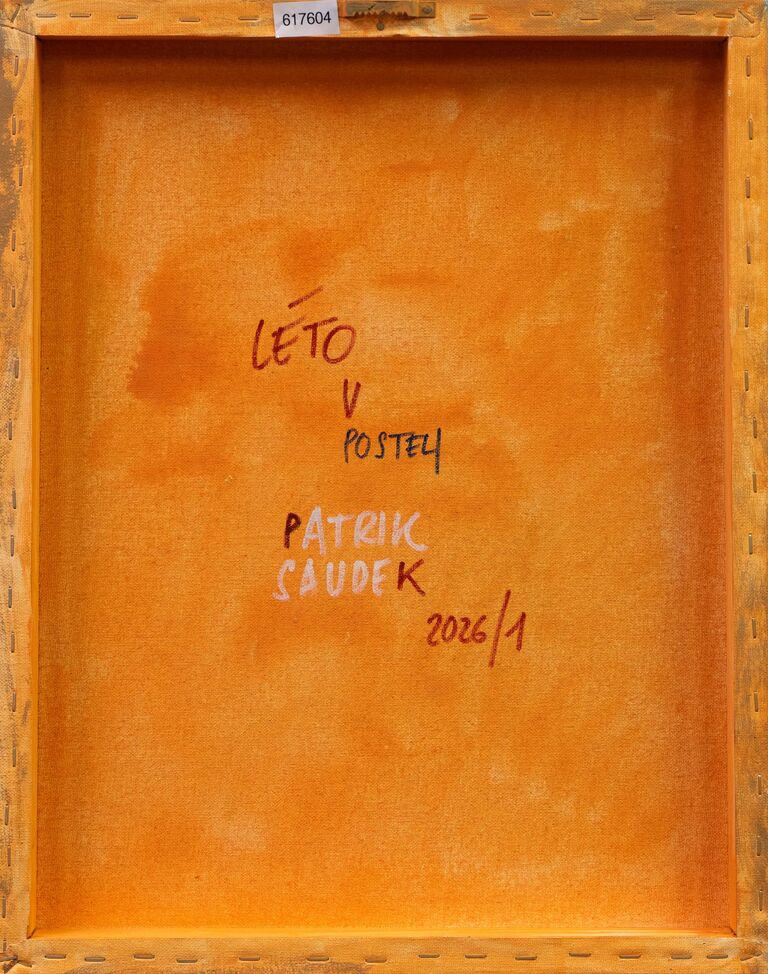  / Léto v posteli / Patrik Saudek