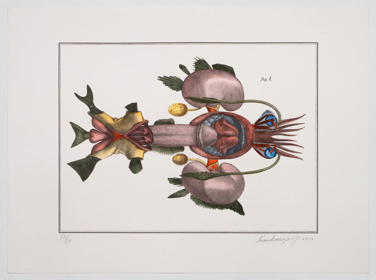 Jan Švankmajer - Felační ryba