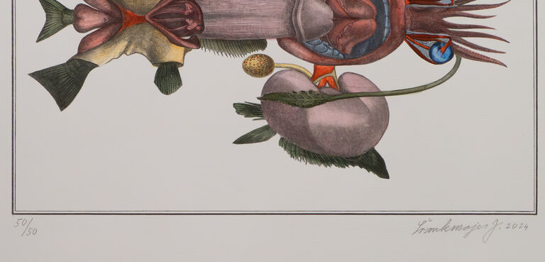  / Felační ryba / Jan Švankmajer