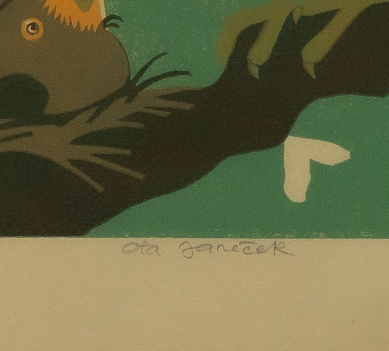  / Jaro / Ota Janeček