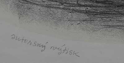  / Plavatka / Kamil Lhoták