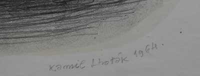  / Plavatka / Kamil Lhoták