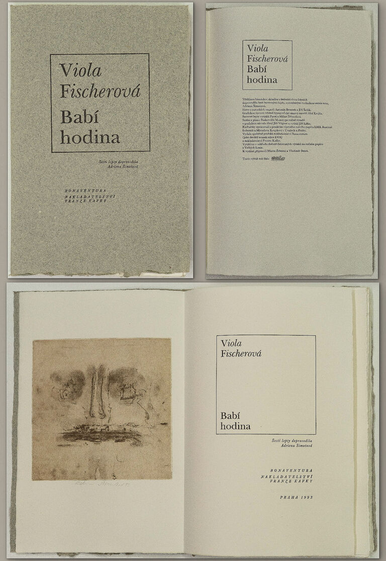 Adriena Šimotová - Babí hodina, Viola Fischerová