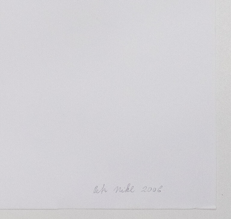  / Naturaléza / Petr Nikl