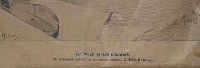  / Doktor Koch ve své pracovně / Luděk Marold