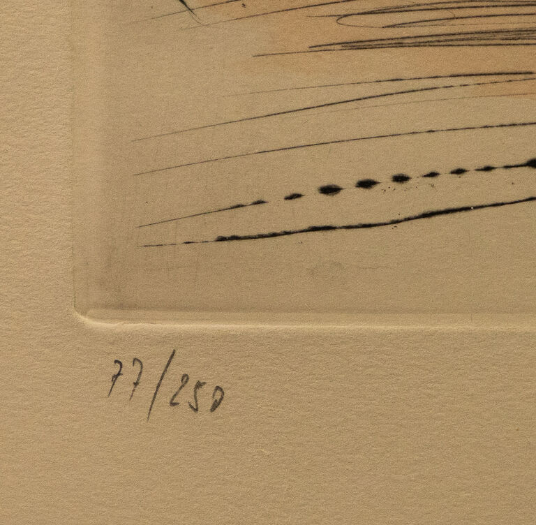  / Akademie krásných umění v Paříži / Salvador Dalí