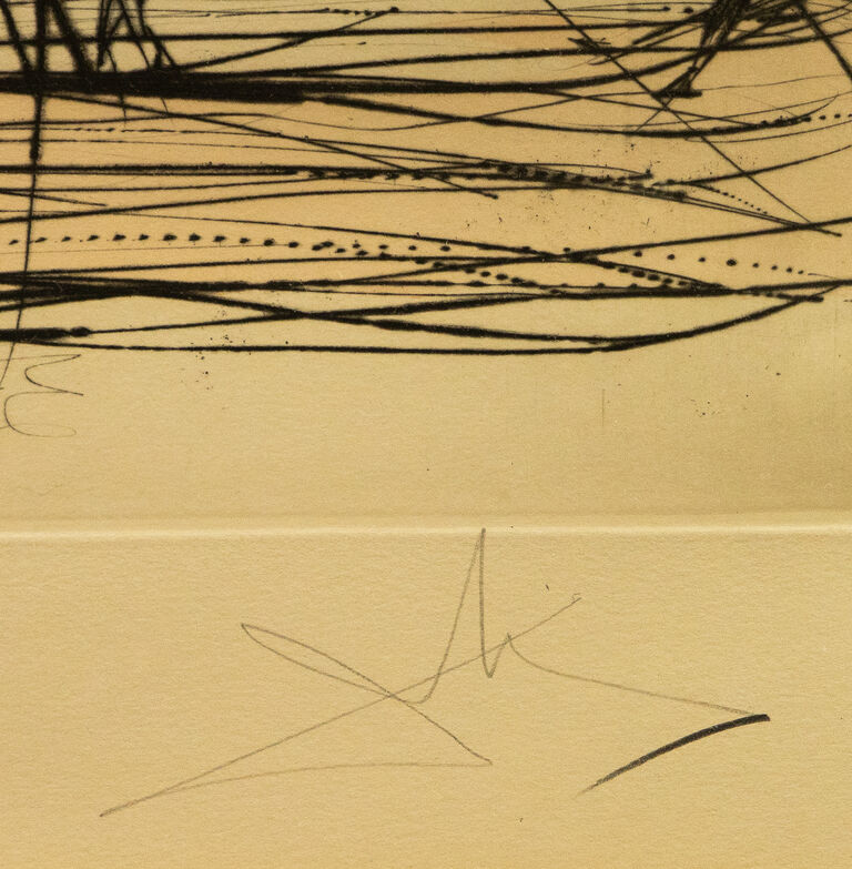  / Akademie krásných umění v Paříži / Salvador Dalí
