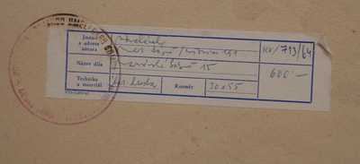  / Mariánské Lázně / Vladimír Suchánek