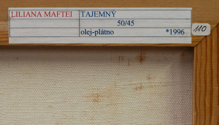  / Tajemný / Liliana Maftei