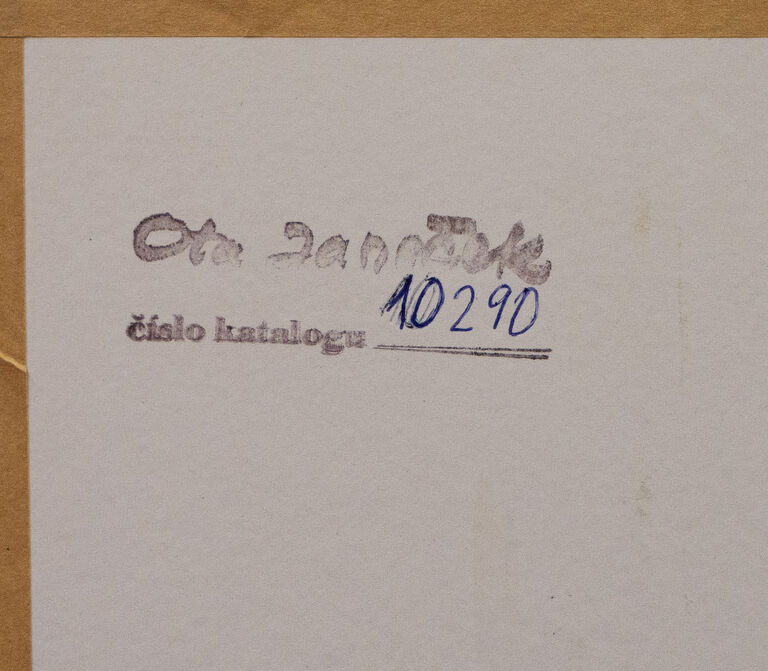  / Ptáček / Ota Janeček