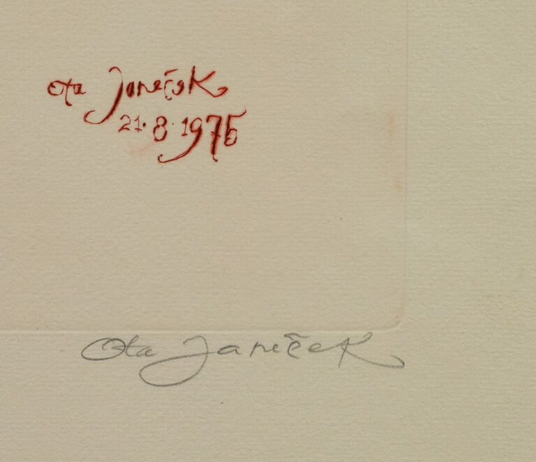 / Jabloň / Ota Janeček