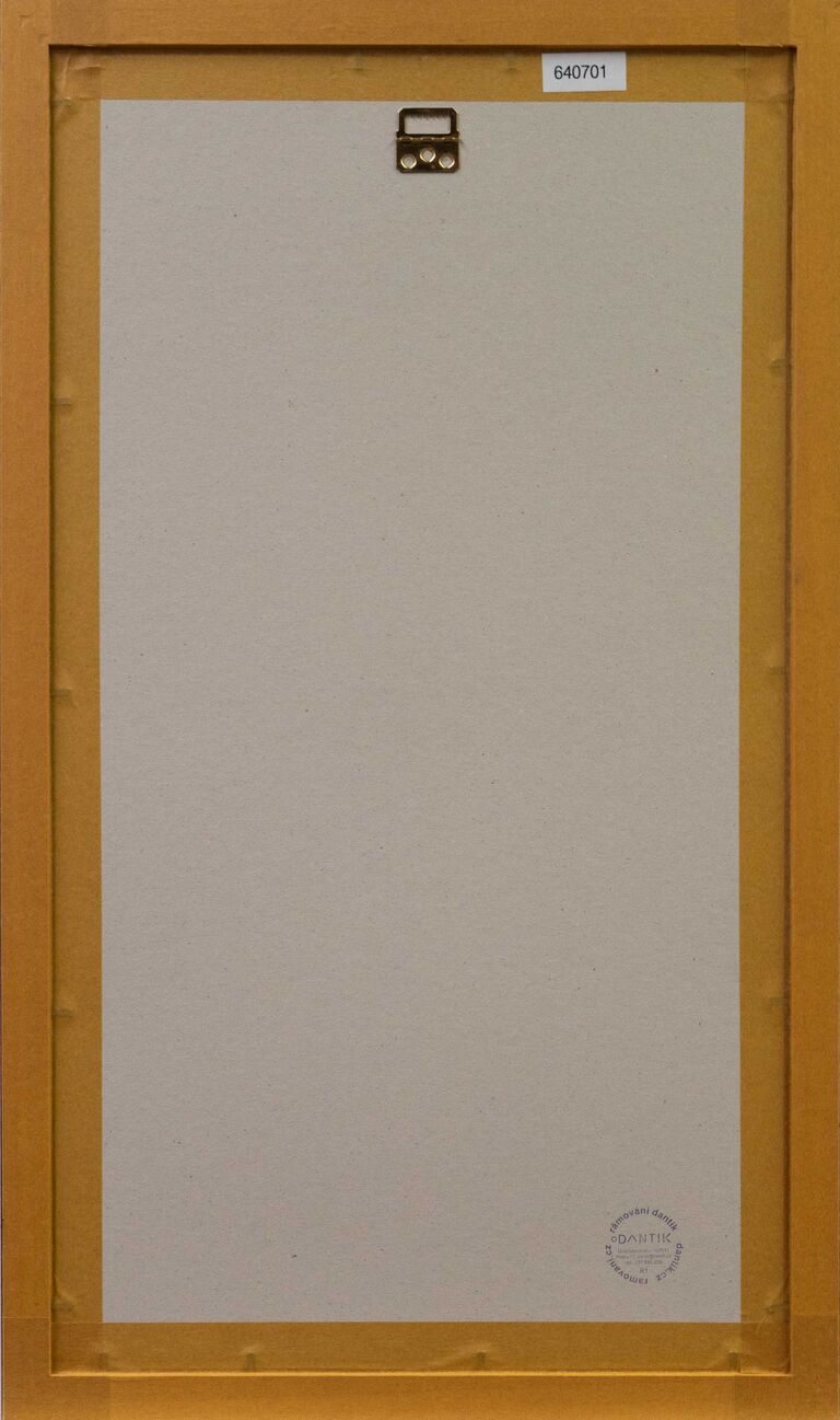  / Krkonošská zima / Adolf Born