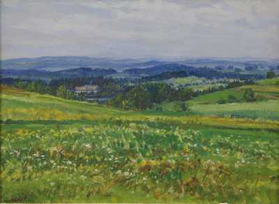  / Rozkvetlá louka / František Škrabánek