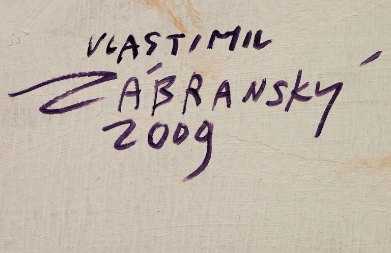  / Z cyklu Recyklovaná členka Greenpeace / Vlastimil Zábranský
