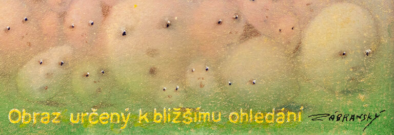  / Obraz určený k bližšímu ohledání / Vlastimil Zábranský