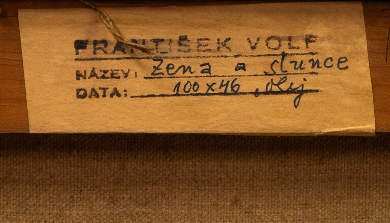  / Žena a slunce / Franta Volf