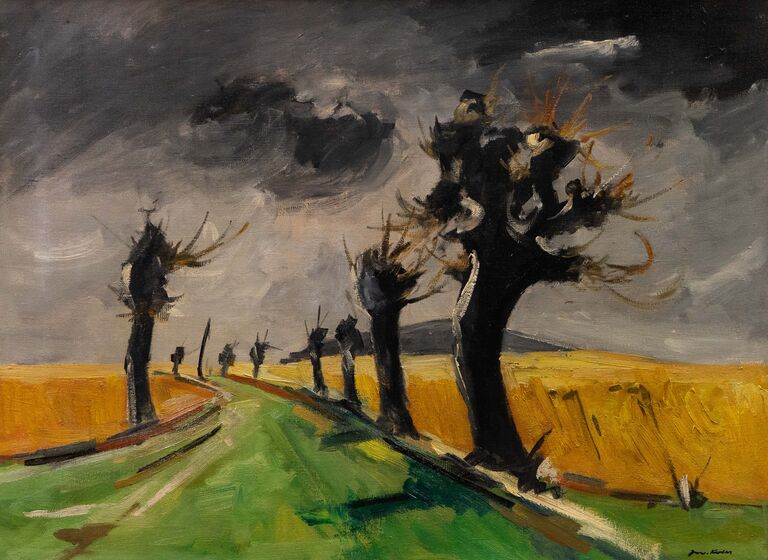  / Stromy / Jaroslav Kotas