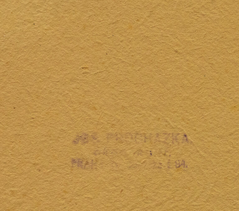  / U potoka / Josef Procházka