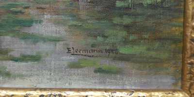  / Lekníny /   Autor neurčen