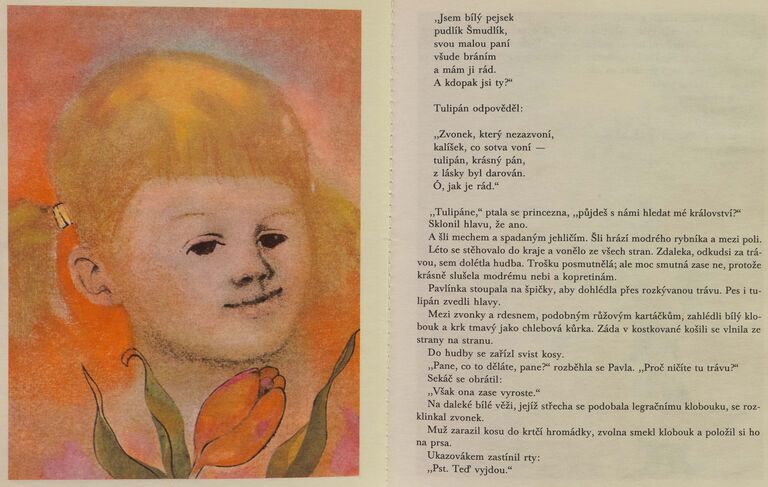 / Princezna z třešňového království / Ota Janeček