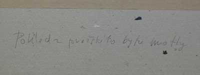  / Pohled z pražského bytu matky /  