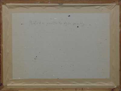  / Pohled z pražského bytu matky /  