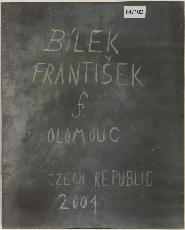  / Žena s kočkami / František Bílek (Olomouc)
