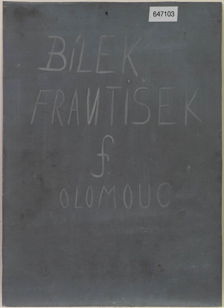  / Dívka s ptáčkem / František Bílek (Olomouc)
