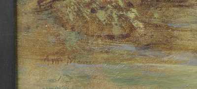  / Zarostlý břeh / Amalie Mánesová