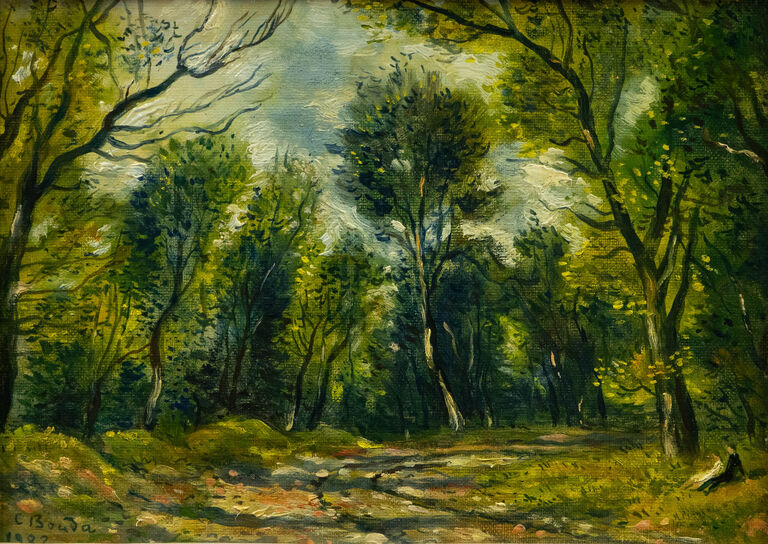  / Lesní cesta / Cyril Bouda