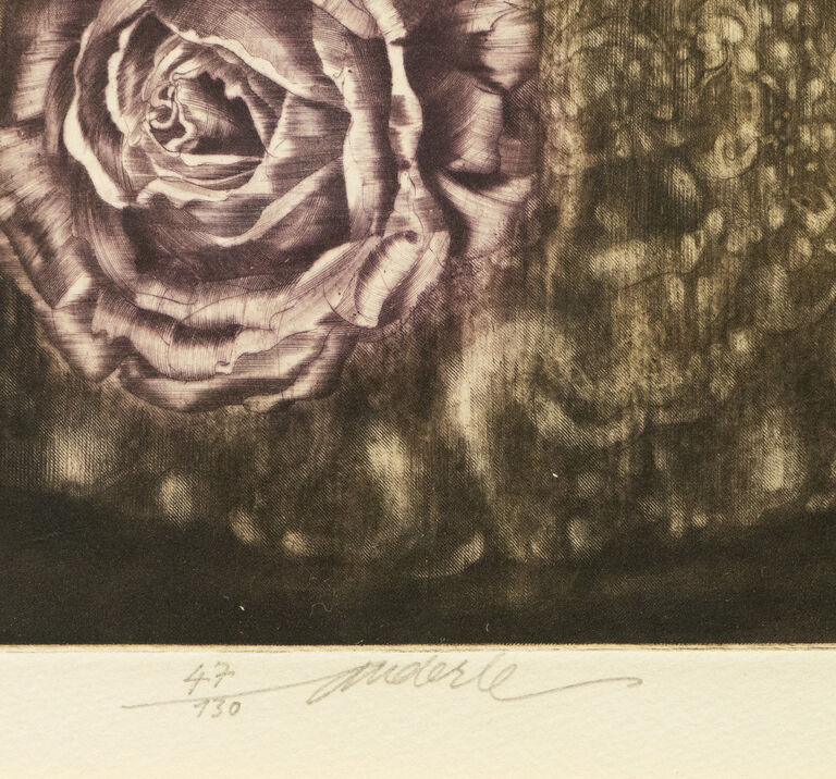  / Madame Reversible / Jiří Anderle